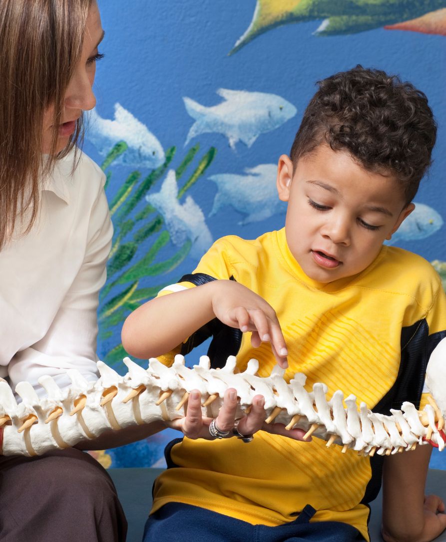 Child learning about spinal health holding anatomical spine model at Stinson Chiropractic