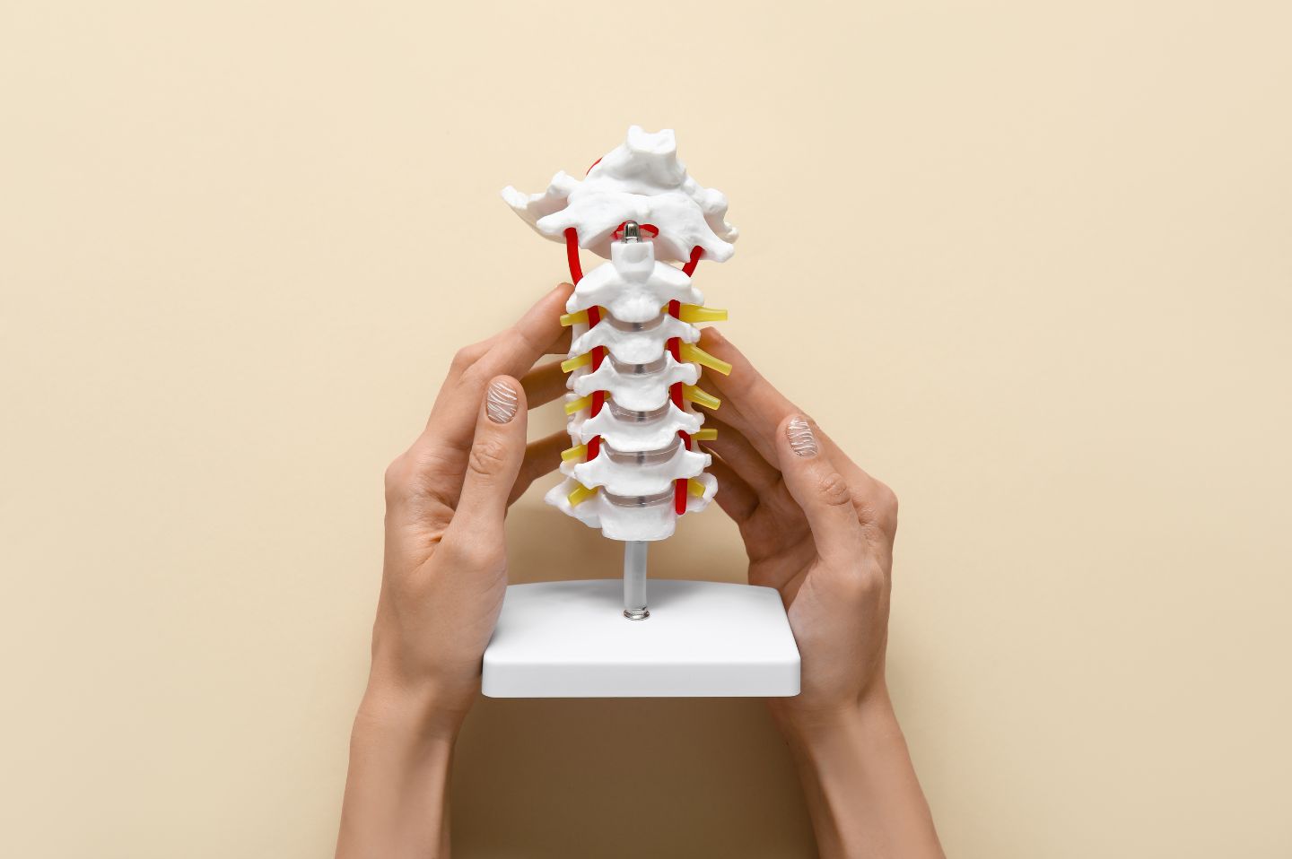 Posture, Tech Use & Spinal Health in the Digital Age